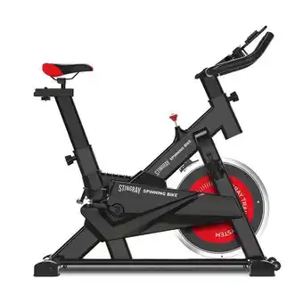 Bicicleta de spinning stingray