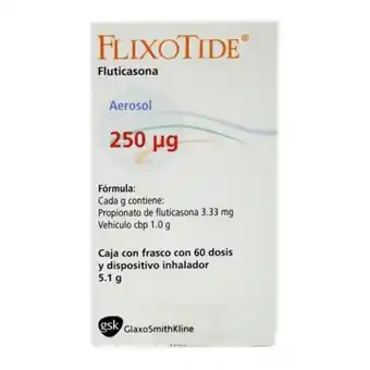 Sam's Club Flixotide 250 µg aerosol 5.1 g oferta