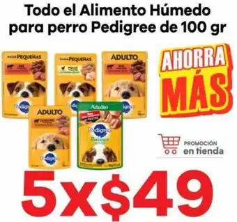 HEB Todo El Alimento Húmedo para Perro Pedigree 5x100g oferta