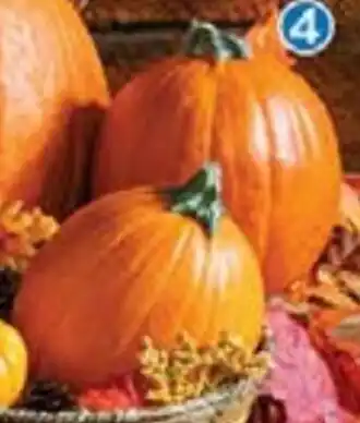 Walmart Calabaza Pay oferta