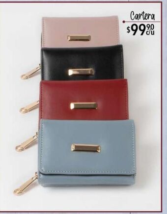 DelSol Cartera oferta