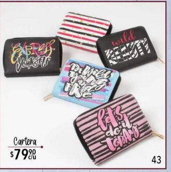 DelSol Cartera oferta
