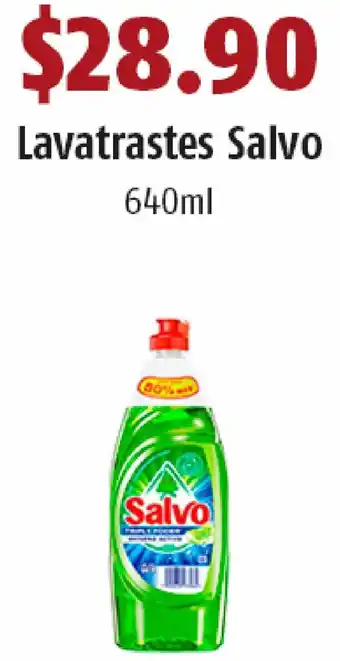 Lavatrastes Salvo 640ml
