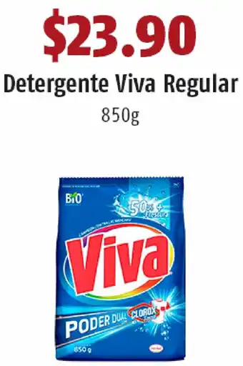 Detergente Viva Regular 850g