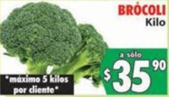 Brócoli