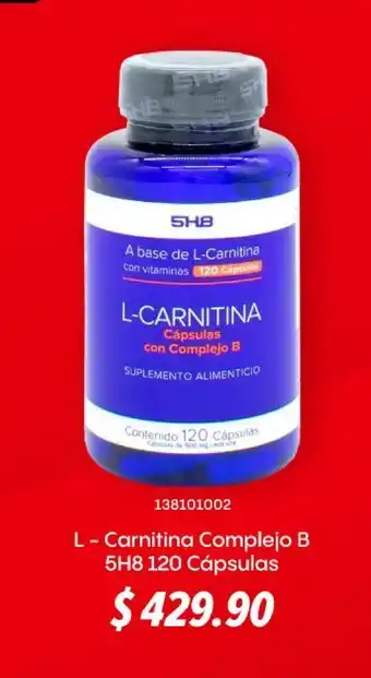 L - carnitina complejo b 5h8 120 cápsulas