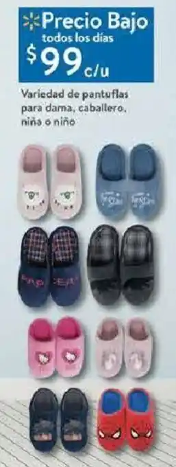 Variedad de Pantuflas para Dama, Caballero, Niña o Niño