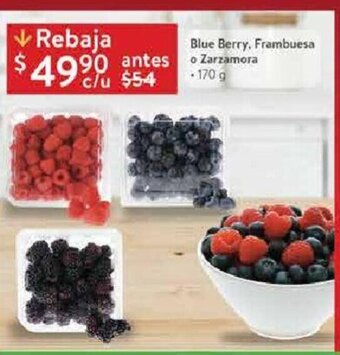 Blue Berry, Frambuesa o Zarzamora 170g