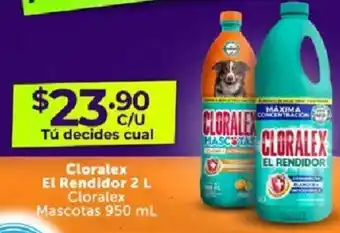 Farmacias Guadalajara Cloralex El Rendidor 2 L / Cloralex Mascotas 950 ml oferta