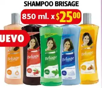 Farmacias Guadalajara Brisage Shampoo 850 ml oferta