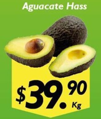 Aguacate Hass