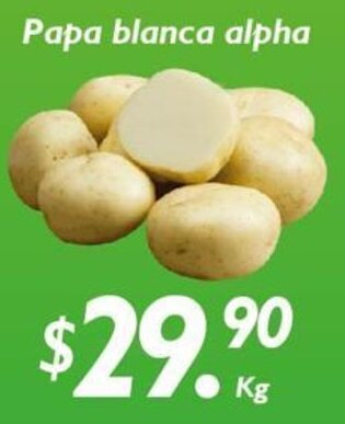 Papa Blanca Alpha