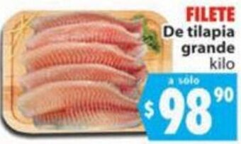 Filete De Tilapia Grande