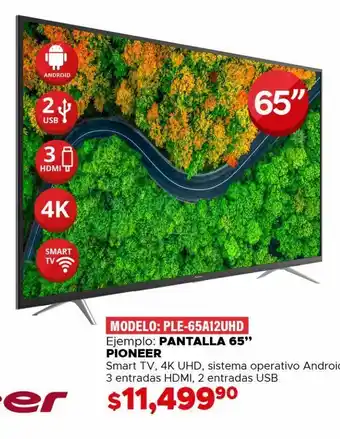 Pantalla 65" pioneer