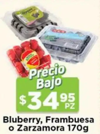 Blueberry, Frambuesa o Zarzamora 170g