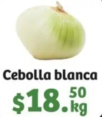 Cebolla Blanca