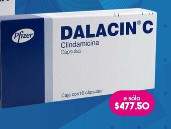 Farmacia San Pablo Dalacin c 16 cápsulas caja oferta