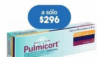 Farmacia San Pablo Pulmicort suspensión 5 suspensión ampolleta oferta