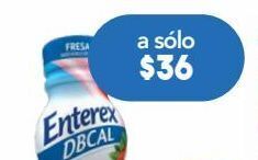 Farmacia San Pablo Enterex dbcal suplemento alimenticio sabor fresa 237 ml oferta