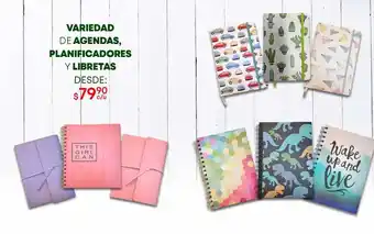 Variedad de agendas, planificadores y libretas