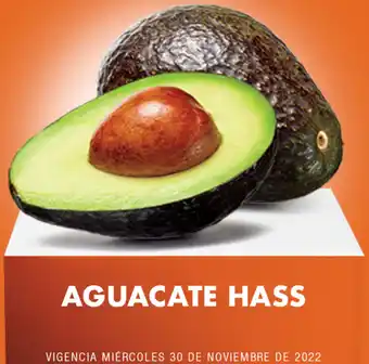 Aguacate Hass