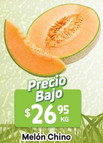 HEB Melón Chino oferta