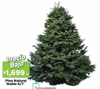 HEB Pino Natural noble 6/7 oferta