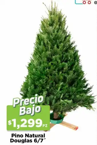 HEB Pino Natural Douglas 6/7 oferta