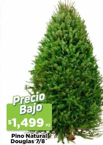 HEB Pino Natural Douglas 7/8 oferta