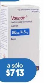 Farmacia San Pablo Vannair aer 80/4.5 mcg caj c/120d oferta