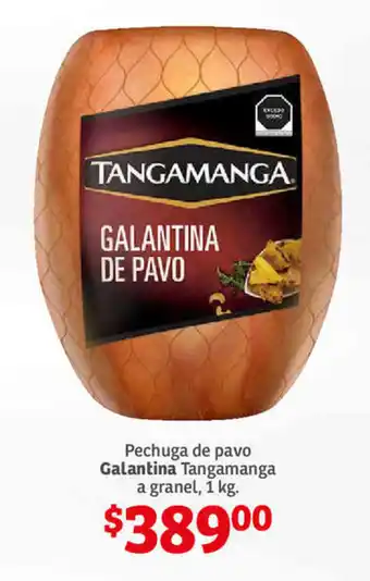 Pechuga de Pavo Galantina Tangamanga a granel 1kg