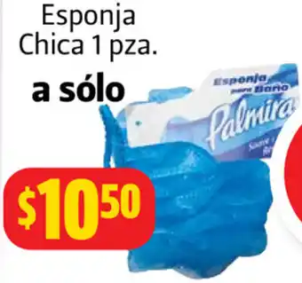 Farmacias Guadalajara Esponja Chica 1 Pza. oferta