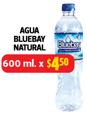 Farmacias Guadalajara Agua Bluebay Natural 600ml oferta