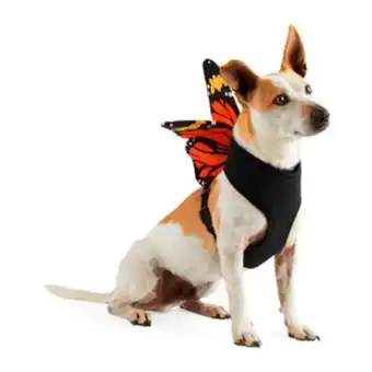 Bootique arnés con disfraz de mariposa para perro, mediano