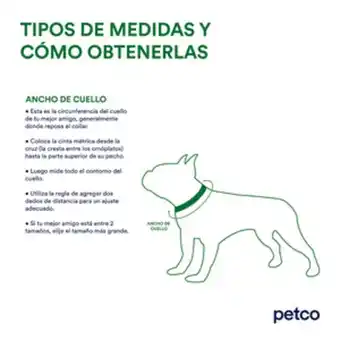 Petco Selección mx collar para perro verde, grande oferta