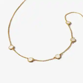 Collar solaris