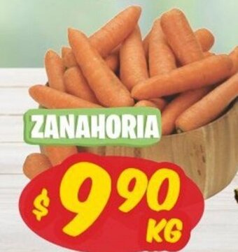 Zanahoria