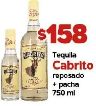 Tequila Cabrito Reposado + Pacha 750ml