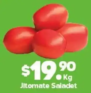 Arteli Jitomate Saladet oferta