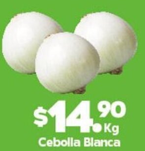 Arteli Cebolla Blanca oferta
