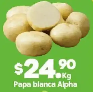 Arteli Papa Blanca Alpha oferta