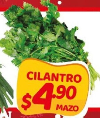 Super del Norte Cilantro oferta