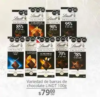 Variedad de barras de chocolate lindt 100g