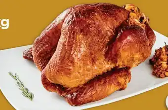 Pavo kg