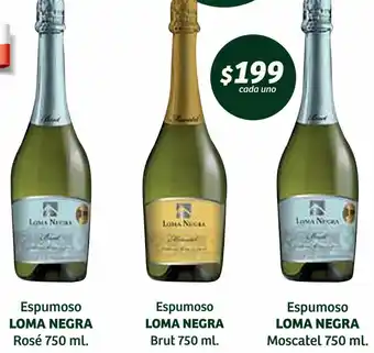 Espumoso Loma Negra Rosé 750ml/ Espumoso Loma Negra Brut 750ml/ Espumoso Loma Negra Moscatel 750ml