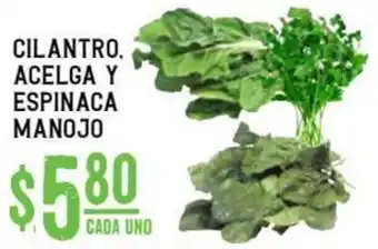 Cilantro Acelga Y Espinaca Manojo