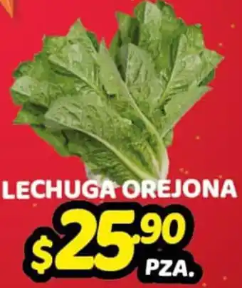 Lechuga Orejona