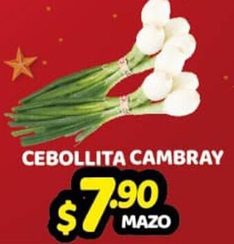 Cebollita Cambray