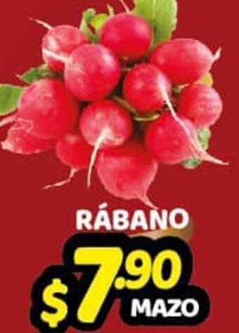 Rábano