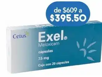 Exel 20 cápsulas caja